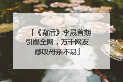 《背后》李晟首期引爆全网，万千网友感叹母亲不易