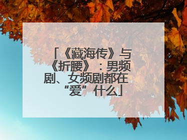 《藏海传》与《折腰》：男频剧、女频剧都在“爱”什么