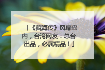 《藏海传》风靡岛内，台湾网友：总台出品，必属精品！