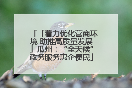 「着力优化营商环境 助推高质量发展」瓜州：“全天候”政务服务惠企便民