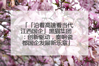 「沿着高速看当代江西国企」黑猫集团：创新驱动，奏响瓷都国企发展新乐章