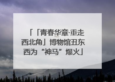 「青春华章·重走西北角」博物馆丑东西为“神马”爆火