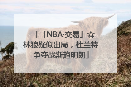 「NBA·交易」森林狼疑似出局，杜兰特争夺战渐趋明朗