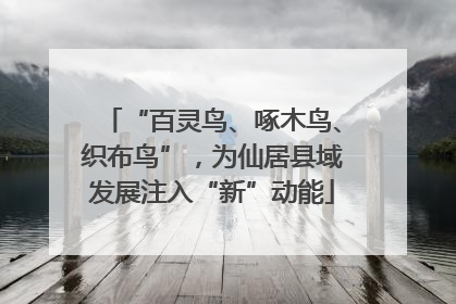“百灵鸟、啄木鸟、织布鸟”，为仙居县域发展注入“新”动能