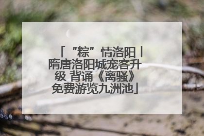 “粽”情洛阳丨隋唐洛阳城宠客升级 背诵《离骚》免费游览九洲池