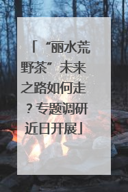 “丽水荒野茶”未来之路如何走？专题调研近日开展