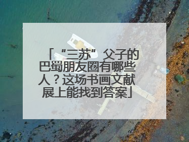“三苏”父子的巴蜀朋友圈有哪些人？这场书画文献展上能找到答案