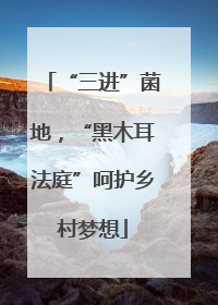 “三进”菌地，“黑木耳法庭”呵护乡村梦想