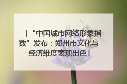 “中国城市网络形象指数”发布：郑州市文化与经济维度表现出色