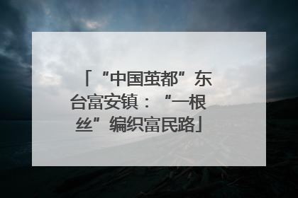 “中国茧都”东台富安镇：“一根丝”编织富民路