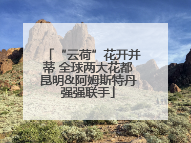 “云荷”花开并蒂 全球两大花都昆明&阿姆斯特丹强强联手