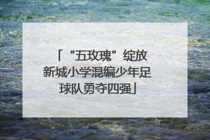 “五玫瑰”绽放 新城小学混编少年足球队勇夺四强