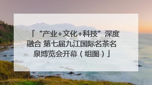 “产业+文化+科技”深度融合 第七届九江国际名茶名泉博览会开幕（组图）