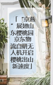 “京燕”展翅山东樱桃园 京东物流自研无人机开启樱桃出山新速度