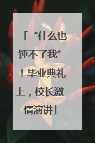 “什么也锤不了我”！毕业典礼上，校长激情演讲