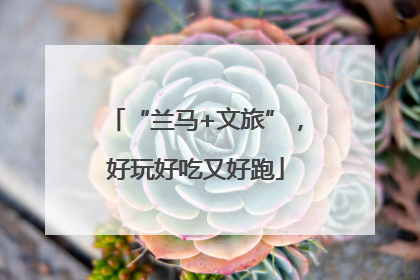 “兰马+文旅”，好玩好吃又好跑