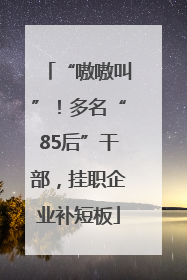 “嗷嗷叫”！多名“85后”干部，挂职企业补短板