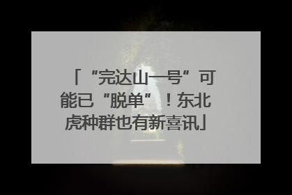 “完达山一号”可能已“脱单”！东北虎种群也有新喜讯
