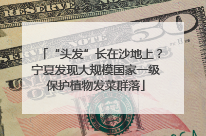 “头发”长在沙地上？宁夏发现大规模国家一级保护植物发菜群落