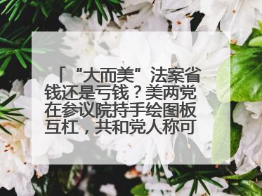 “大而美”法案省钱还是亏钱？美两党在参议院持手绘图板互杠，共和党人称可节省约5000亿美元，民主党人称将增加4.45万亿美元赤字