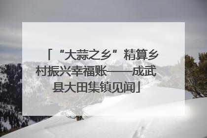 “大蒜之乡”精算乡村振兴幸福账——成武县大田集镇见闻