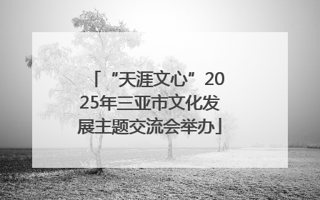 “天涯文心”2025年三亚市文化发展主题交流会举办