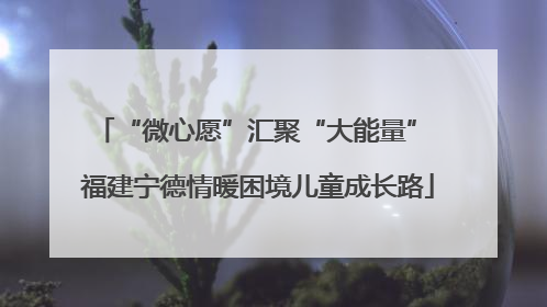“微心愿”汇聚“大能量” 福建宁德情暖困境儿童成长路