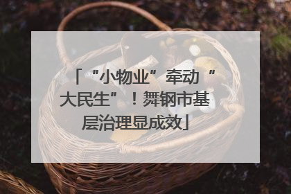 “小物业”牵动“大民生”！舞钢市基层治理显成效