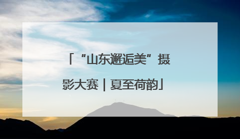 “山东邂逅美”摄影大赛｜夏至荷韵
