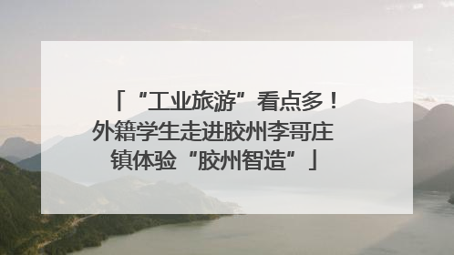 “工业旅游”看点多！外籍学生走进胶州李哥庄镇体验“胶州智造”