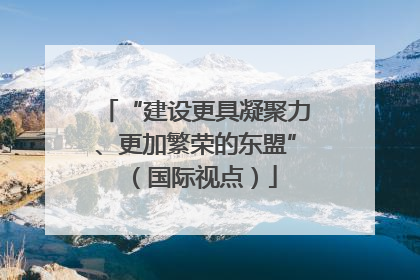 “建设更具凝聚力、更加繁荣的东盟”（国际视点）