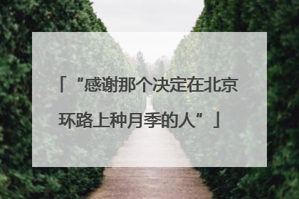 “感谢那个决定在北京环路上种月季的人”