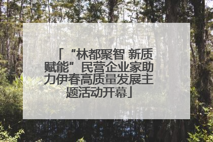 “林都聚智 新质赋能”民营企业家助力伊春高质量发展主题活动开幕