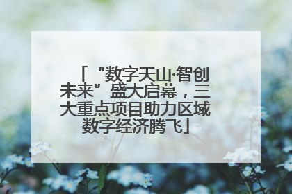 “数字天山·智创未来”盛大启幕，三大重点项目助力区域数字经济腾飞