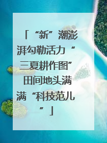“新”潮澎湃勾勒活力“三夏耕作图” 田间地头满满“科技范儿”