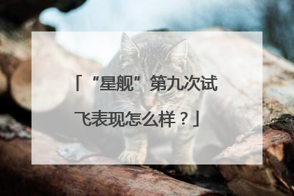 “星舰”第九次试飞表现怎么样？