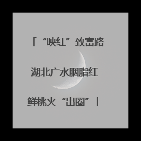 “映红”致富路 湖北广水胭脂红鲜桃火“出圈”