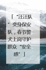 “汪汪队”变身保安队，春节警犬上岗守护群众“安全感”