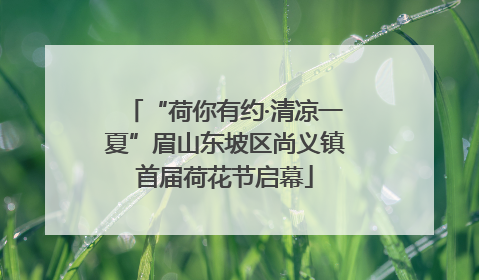 “荷你有约·清凉一夏”眉山东坡区尚义镇首届荷花节启幕