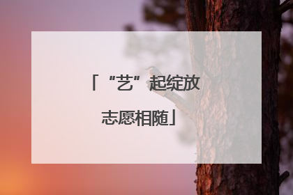 “艺”起绽放 志愿相随