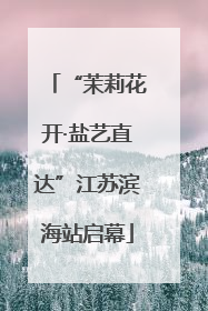 “茉莉花开·盐艺直达”江苏滨海站启幕