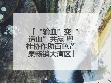 “输血”变“造血”共赢 粤桂协作助百色芒果畅销大湾区