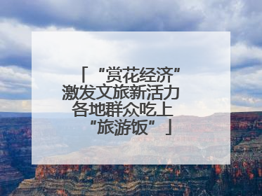 “赏花经济”激发文旅新活力 各地群众吃上“旅游饭”