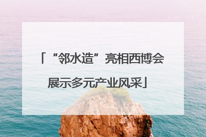 “邻水造”亮相西博会 展示多元产业风采