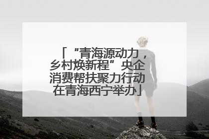 “青海源动力，乡村焕新程”央企消费帮扶聚力行动在青海西宁举办
