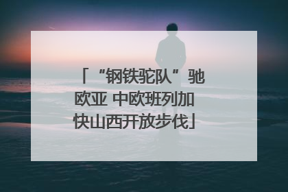 “钢铁驼队”驰欧亚 中欧班列加快山西开放步伐