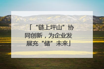 “链上坪山”协同创新，为企业发展充“储”未来