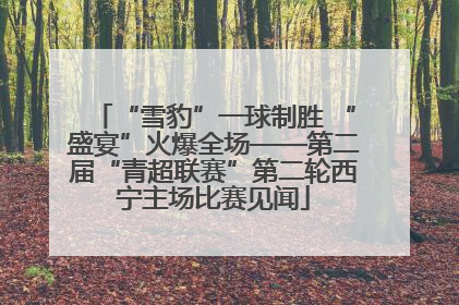 “雪豹”一球制胜 “盛宴”火爆全场——第二届“青超联赛”第二轮西宁主场比赛见闻