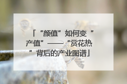 “颜值”如何变“产值”——“赏花热”背后的产业图谱