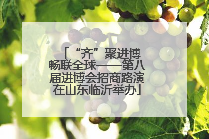 “齐”聚进博 畅联全球——第八届进博会招商路演在山东临沂举办